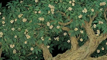 参天大树带鱼屏