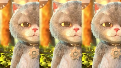 斑布猫-无畏风雨