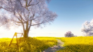 黄昏湖畔樱花