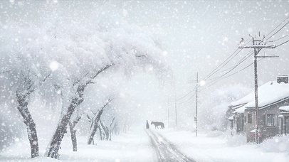 天将暮，雪乱舞