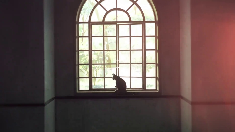 昏暗室内墙角的拱格窗台上，坐着侧望室外树木的猫咪剪影。