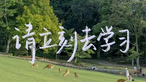 请立刻去学习