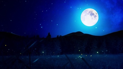 中秋月圆夜