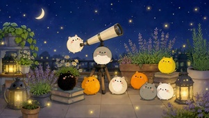 夏夜露台萌猫观星