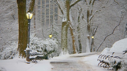 雪天公园树林小路