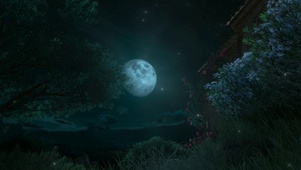 夜空皓月