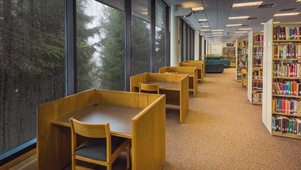 雨天森林图书馆