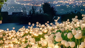 治愈唯美夜景