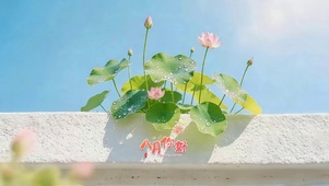 八月你好