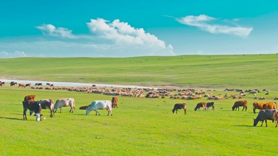 蓝天白云草原牛羊