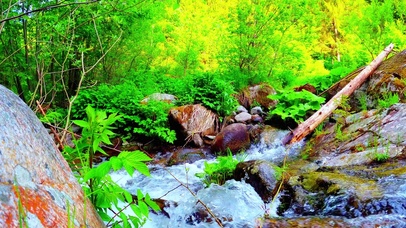 唯美清凉溪流 4K