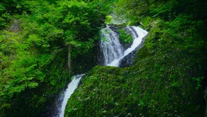 护眼山间溪流