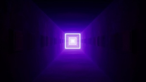 正方隧道-紫(双端)