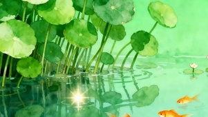 夏天池塘带鱼屏