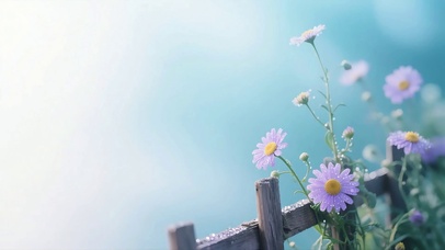 清晨木栅栏上的小花