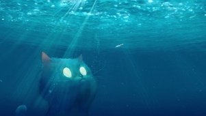 海里的猫