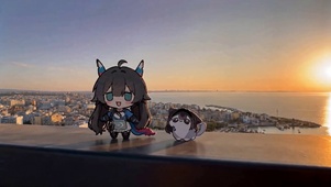 小小陈和小普猫