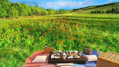 在梦幻般的草原上野餐