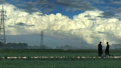 旷野的白云和麦田
