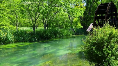 夏日护眼绿树林流水
