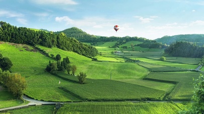 偶尔顺从一下自己吧