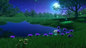 唯美月夜萤火