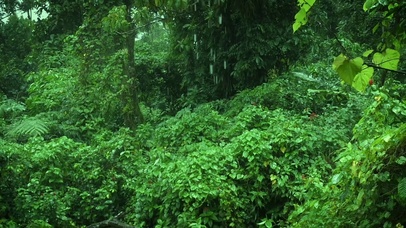清新护眼下雨天