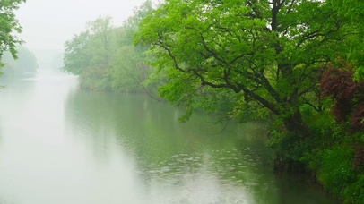 雨中绿湖