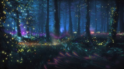 4K唯美静谧森林