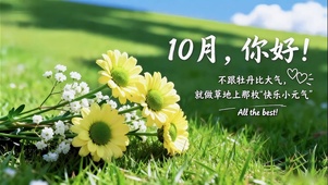 10月壁纸-元气小雏菊
