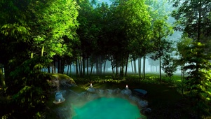 护眼竹林温泉
