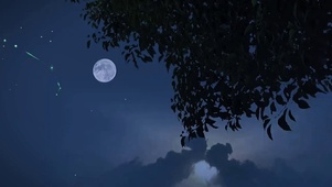 夜空中月圆，地上人团圆