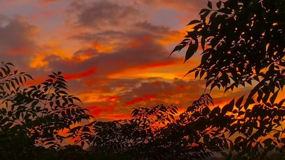 天有大美而不言