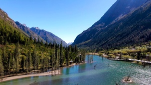高山流水