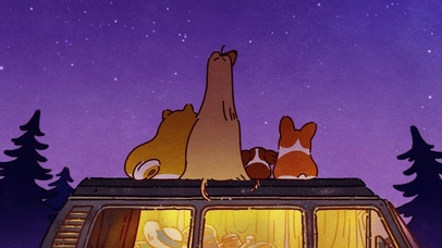 柯基 一起露营看星空