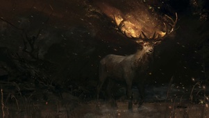 animal fantasy