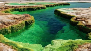 清新清澈绿色海岛水潭