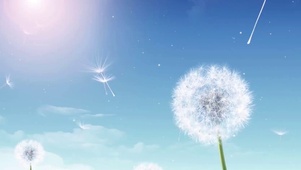 励志文字蓝天白云唯美蒲公英