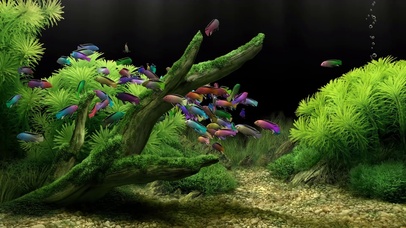 治愈护眼水族馆