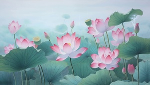 小清新荷