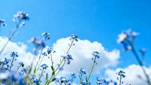 护眼花草树木