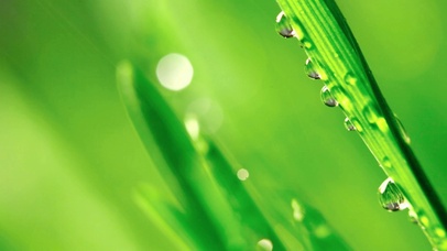 水珠护眼【2K工作专用白噪音】