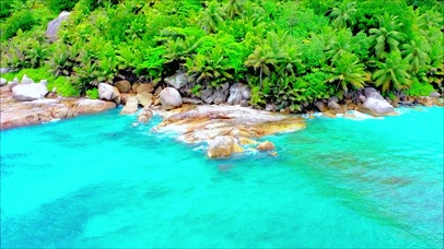 唯美海岸海浪 4K