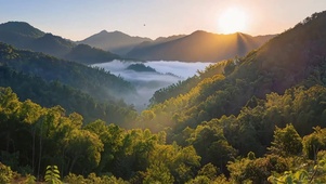 林间日出