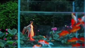 锦鲤和美女