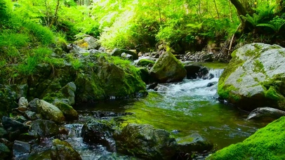 山涧溪流