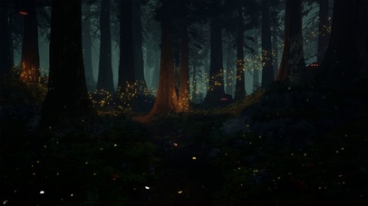唯美治愈夜晚森林萤火虫