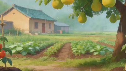 雨天梨子树带鱼屏