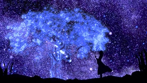 星空树下
