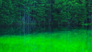 春天绿湖